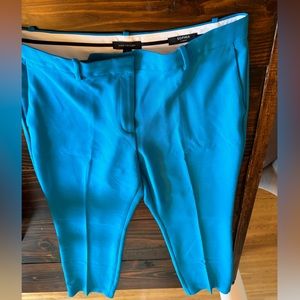 Ann Taylor Sophia pant curvy 14